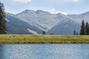 der gollinger