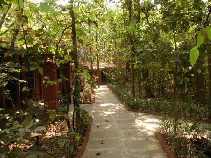 kanha