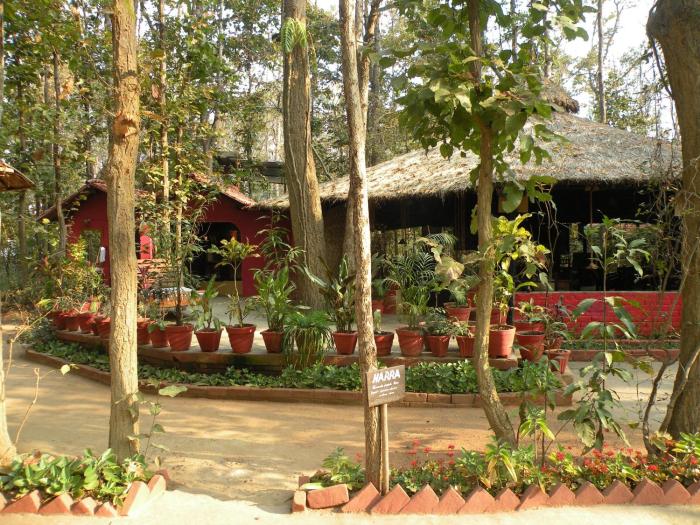 kanha