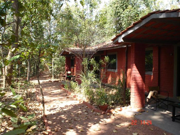 kanha