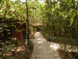 kanha