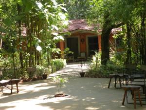 kanha