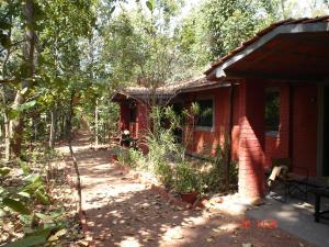 kanha