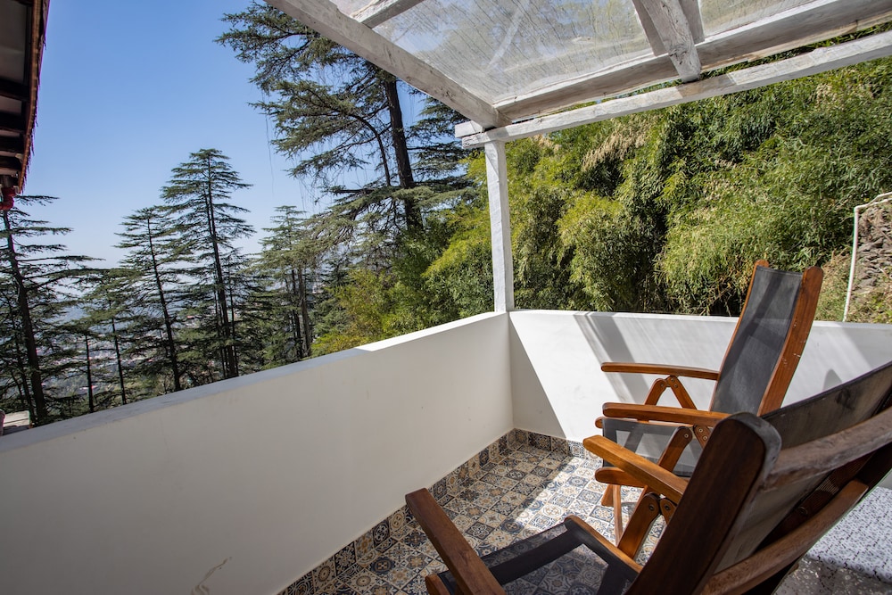 seclude shimla taraview