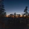 Seclude Shimla Taraview,Kasumpti,4 star