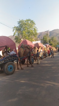 sajjan bagh a heritage resort