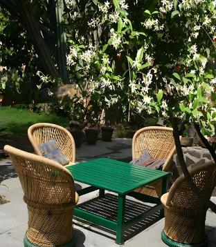 high bank peasants cottage