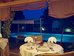 cerro da marina hotel adults only