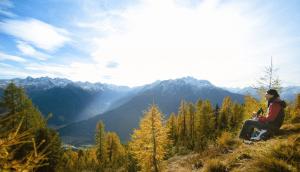 hotel alpina resort nature and wellness