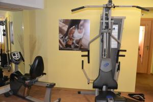 hotel alpina resort nature and wellness