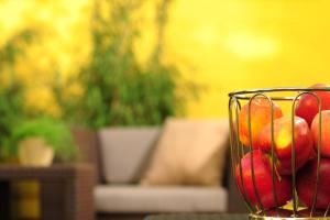 guesthouse mainz