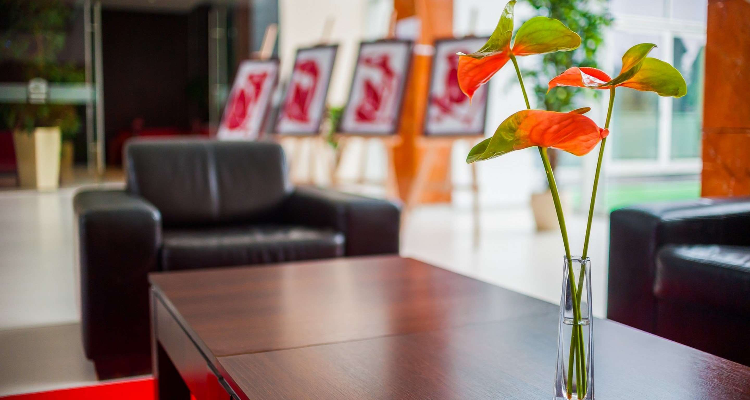 premier krakow hotel