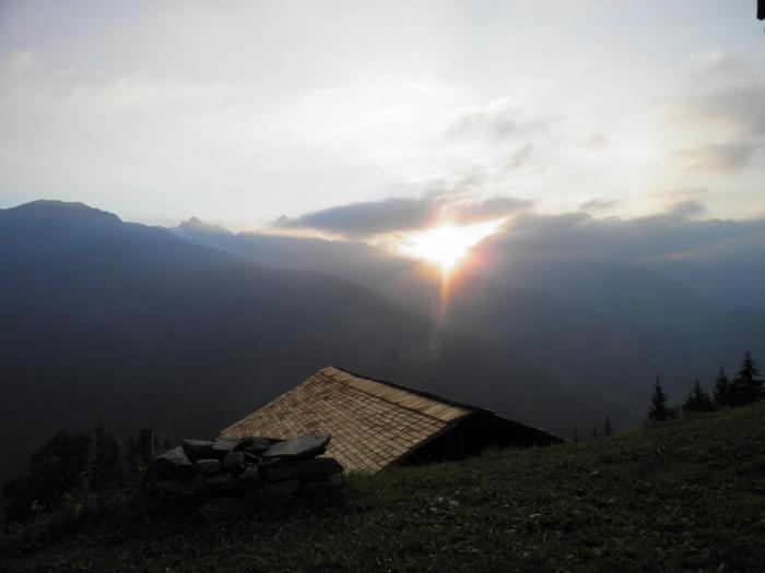 alpenrose aktiv and spa
