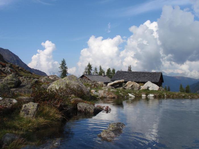 alpenrose aktiv and spa