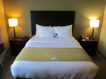 comfort suites north
