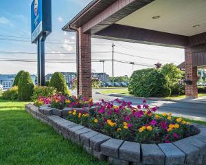 Comfort Inn,Woodstock>>Fredericton,3 star