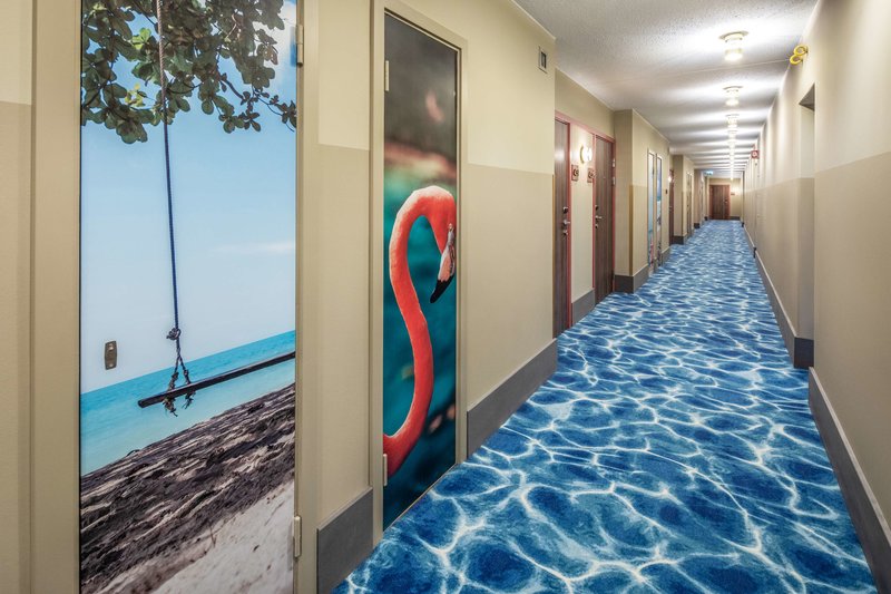 scandic the reef