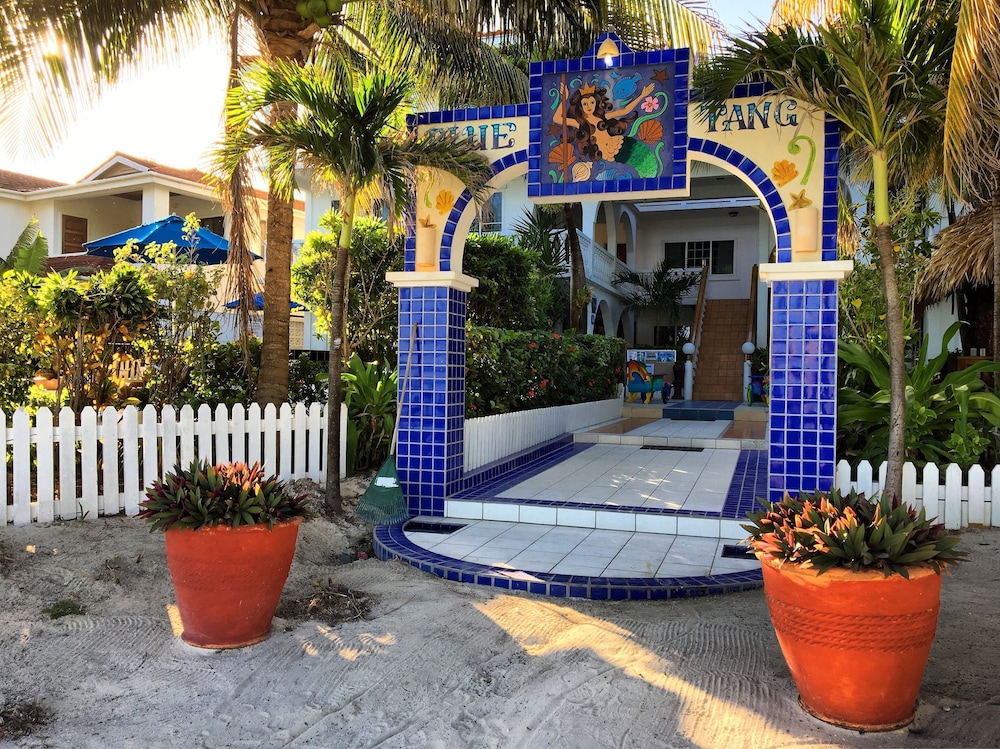 blue tang inn