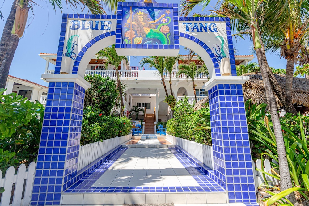 blue tang inn