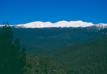 cooma