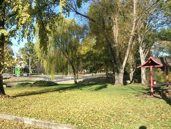 cooma