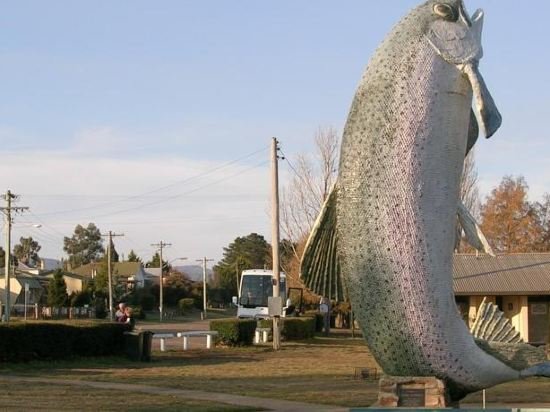 cooma