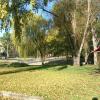cooma