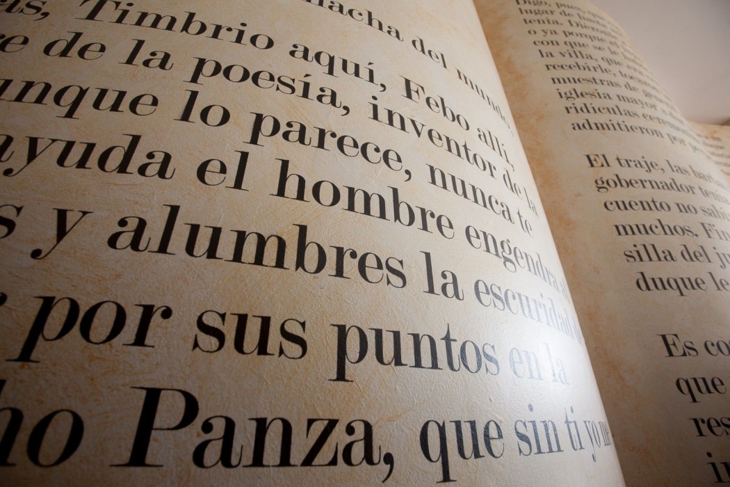 hotel insula barataria