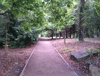 lucan