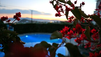 proteas hotel and suites