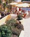 costa doiro ambiance village