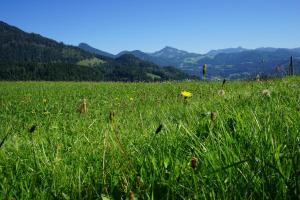 hotel zur post rohrdorf