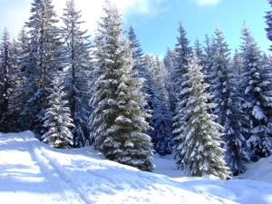 hotel zur post rohrdorf