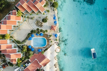 captain dons habitat