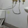 pangot