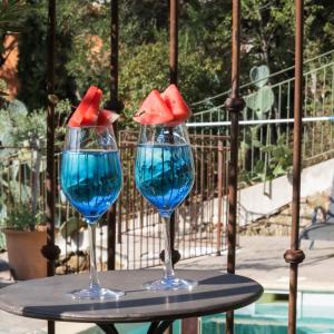 bormes les mimosas