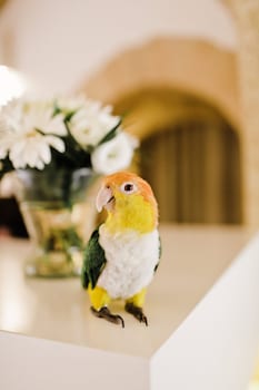 Le Vieux Castillon,Castillon-Du-Gard>>Ales,5 star