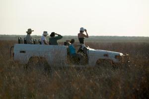 bamurru plains