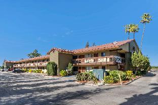 best western orchard inn