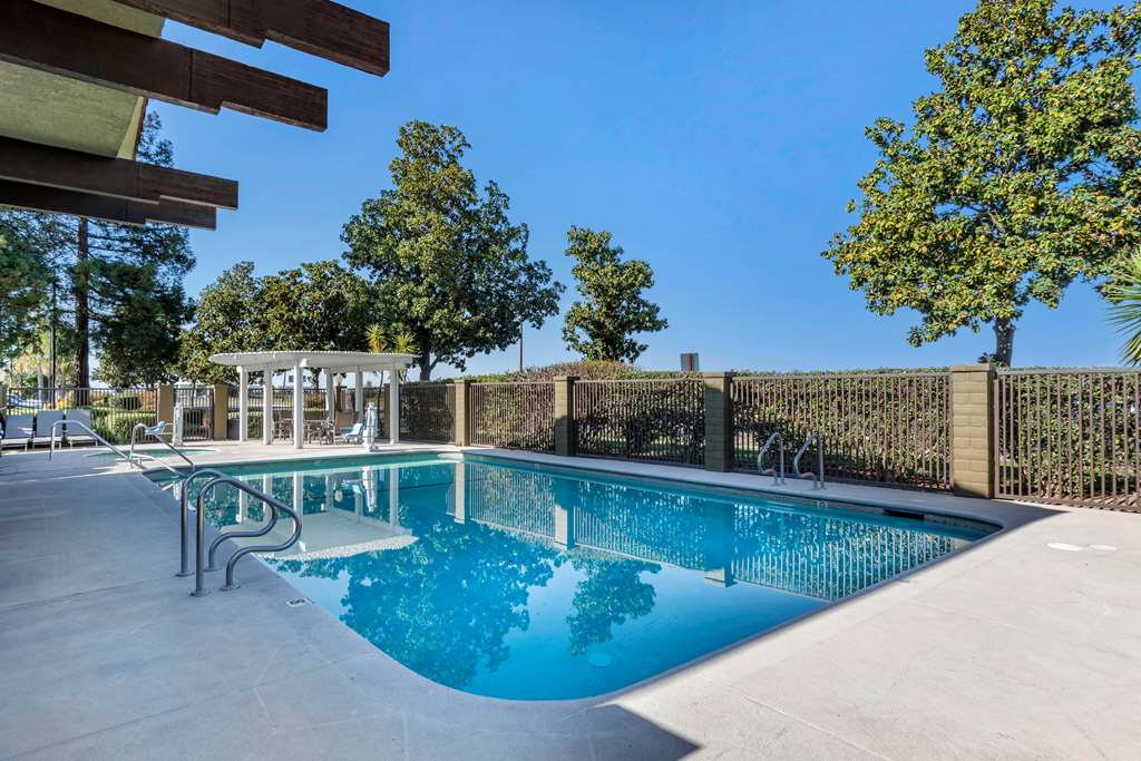 best western orchard inn