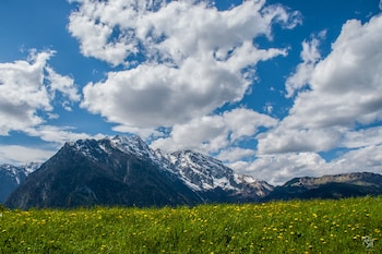 golling an der salzach