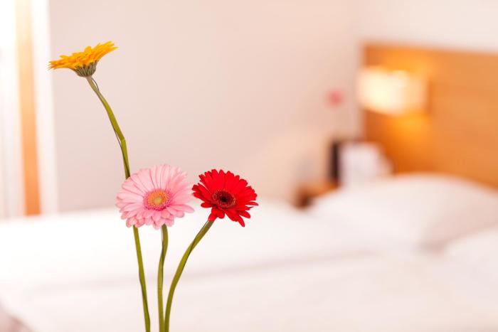 hotel pension golingen