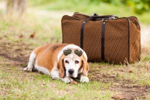 fahrhaus farge bremen