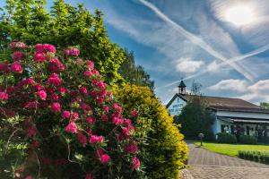 Lohmann's Romantik Hotel Gravenberg,Cologne>>Bergisch Gladbach,5 star