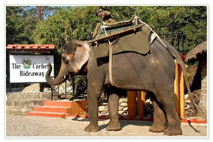 the corbett hideaway by leisure hotels