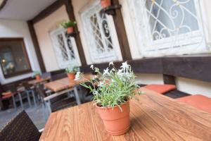 hotel dachstein