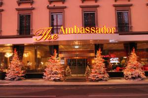 the ambassador