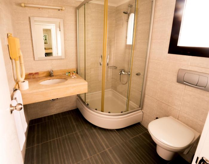 the olive tree hotel