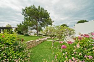 the olive tree hotel