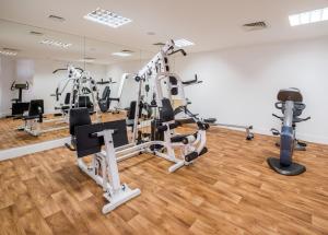 the olive tree hotel